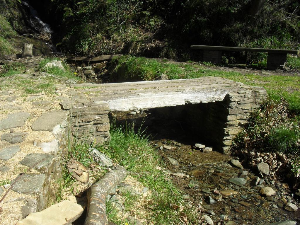 Pensión la Posada Tineo Exterior foto